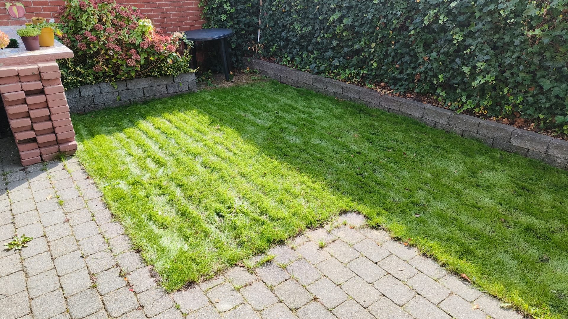 Na: 20 m2 gazon (Bodegraven)
